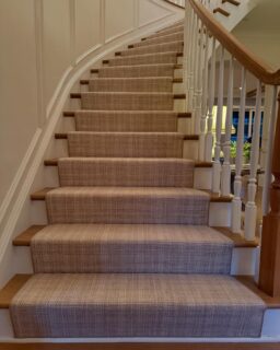 Stair flare ✨✨✨
#stairrunner #floordecor #homey #coeflow #warmth